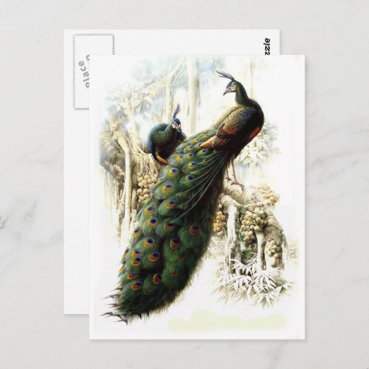 Friedenstruppen Postkarte (Vorne/Hinten)