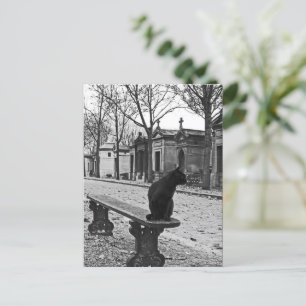 Friedhof Cat Vintag Fotografie Postkarte
