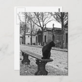 Friedhof Cat Vintag Fotografie Postkarte (Vorne/Hinten)