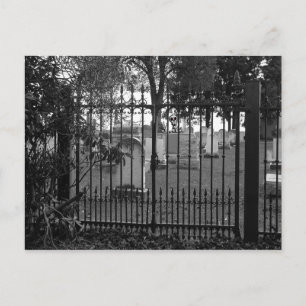 Friedhof Grüße! - Postkarte Nr. 1