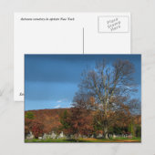 Friedhof im Herbst Postkarte (Vorne/Hinten)