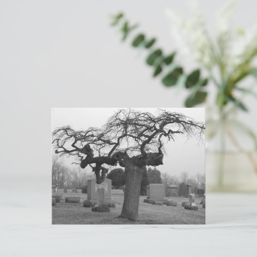 Friedhof Postkarte (Stehend Vorderseite)