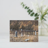 Friedhof Postkarte (Stehend Vorderseite)