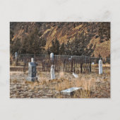 Friedhof Postkarte (Vorderseite)