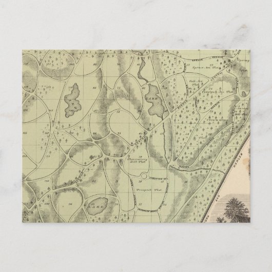 Friedhof Postkarte (Vorderseite)