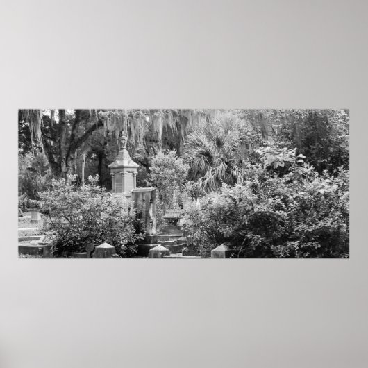 Friedhof, Savannah Ga, MD Fotografie Poster (Vorne)