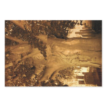 Friedhof Vintage Antique Sepia Tree Sheet Music