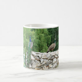 Friedhöfe in der Tasse eines Fotos im Garten