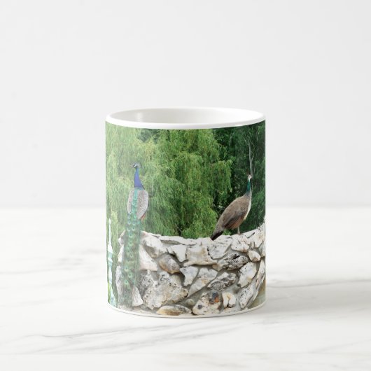 Friedhöfe in der Tasse eines Fotos im Garten (Mittel)