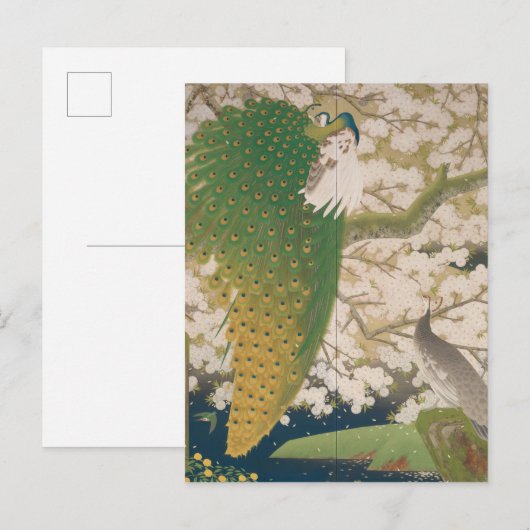 Friedhöfe und Kirschbaum (1925) Postkarte (Vorne/Hinten)