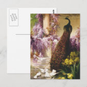 Friedhöfe und Tauben Postkarte (Vorne/Hinten)