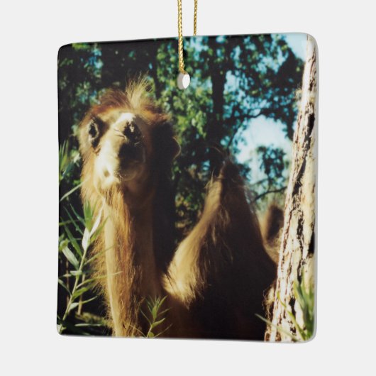 Friedlich Baba Keramikornament (Links)