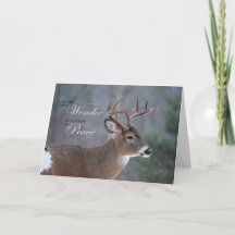 Friedlich Buck Holiday