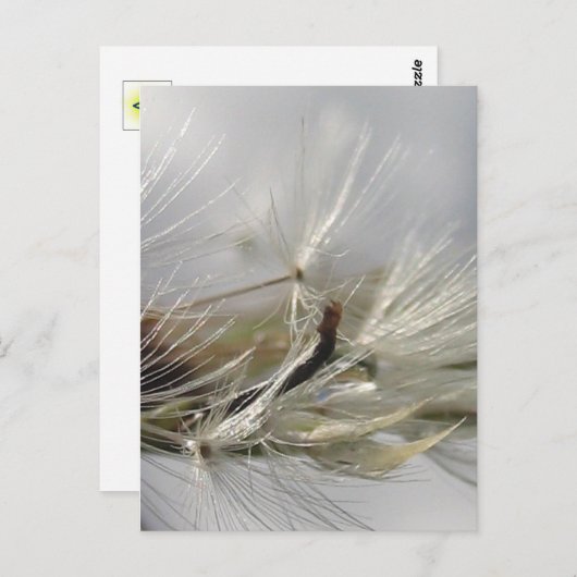 Friedlich, elegant, glänzend, Leuchter-Poof Postkarte (Vorne/Hinten)