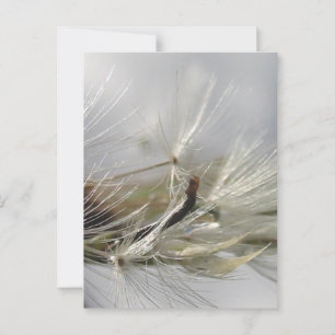 Friedlich, elegant, glänzend, Leuchter-Poof Postkarte