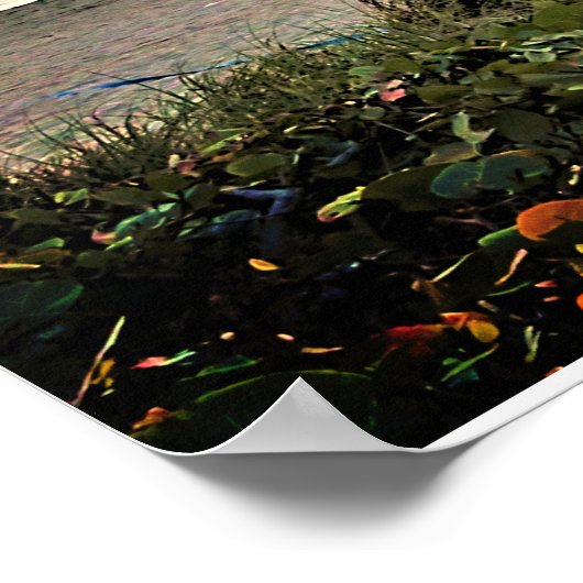 FRIEDLICH JEREMIAH 29:11 SCRIPTURE VERSE POSTER (Ecke)