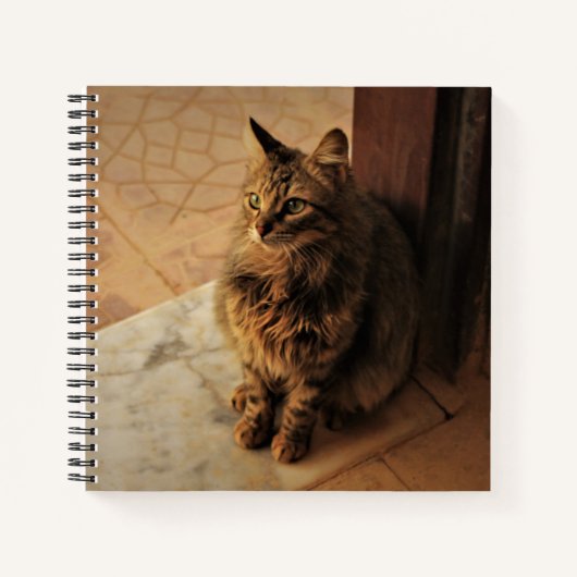 Friedlich Kitty Notizblock (Vorderseite)
