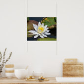 Friedlich Lotus für einen Raum, der Zen benötigt Poster (Küche)