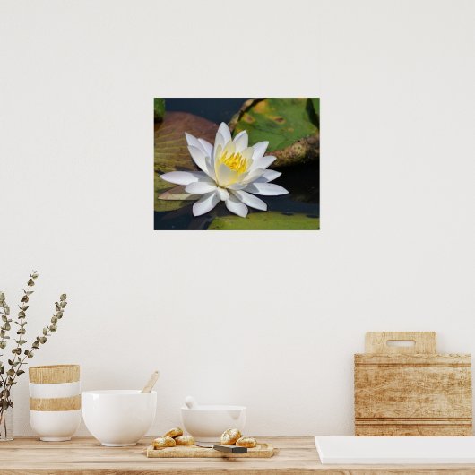 Friedlich Lotus für einen Raum, der Zen benötigt Poster (Küche)