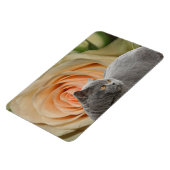 Friedlich Magnet (Linke Seite)