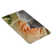 Friedlich Magnet (Rechte Seite)