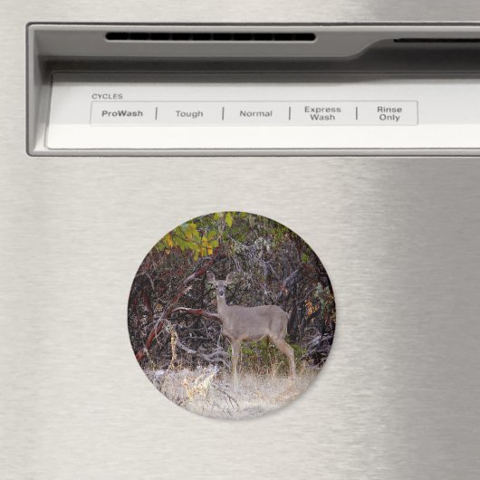 Friedlich.... Magnet (In Situ (Geschirrspüler))