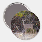 Friedlich.... Magnet (Vorderseite/Rückseite)