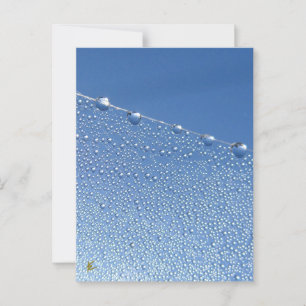 Friedlich, mediativ, Blauer Taubschlag Postkarte