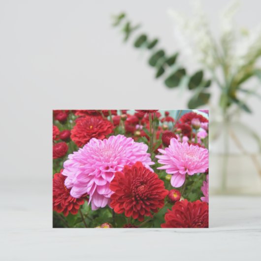 Friedlich Morning Glory Postkarte (Stehend Vorderseite)