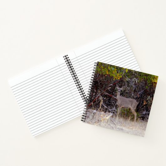 Friedlich... Notizblock (Innenseite)