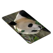 Friedlich Panda Magnet (Rechte Seite)