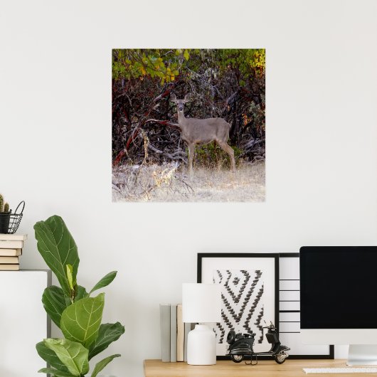 Friedlich... Poster (Heimbüro)