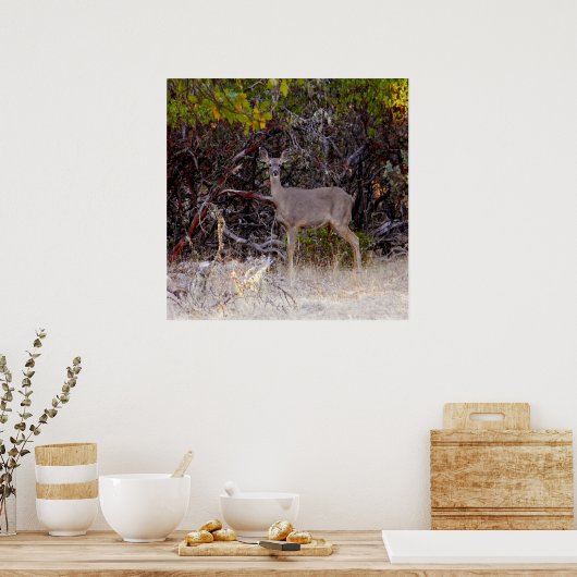 Friedlich... Poster (Küche)