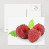 Friedlich Postkarte (Vorne/Hinten)