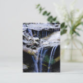 Friedlich Postkarte (Stehend Vorderseite)