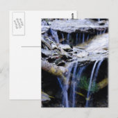 Friedlich Postkarte (Vorne/Hinten)