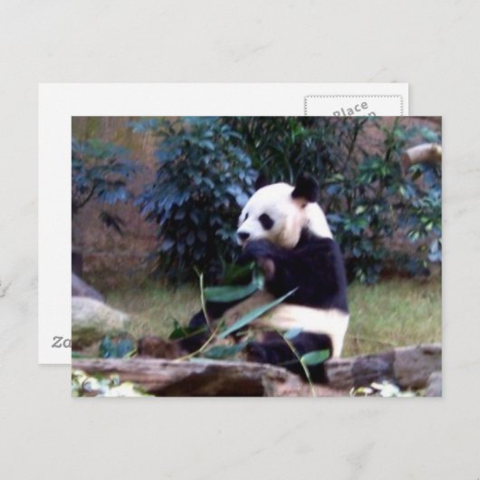 Friedlich Postkarte (Vorne/Hinten)