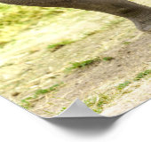 Friedlich Rhino Poster (Ecke)