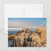 Friedlich Seascape Landschaft Postkarte (Vorne/Hinten)
