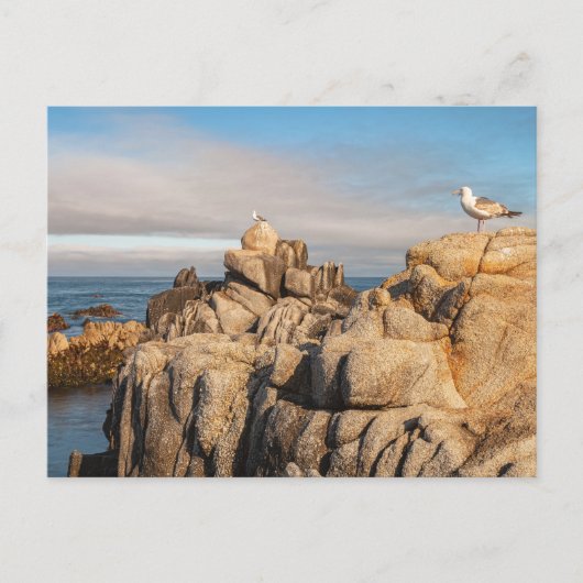 Friedlich Seascape Landschaft Postkarte (Vorderseite)