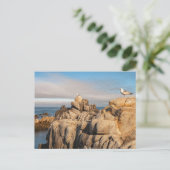 Friedlich Seascape Landschaft Postkarte (Stehend Vorderseite)