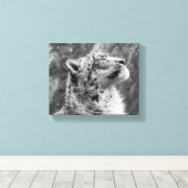 Friedlich Snow Leopard Leinwanddruck (Insitu (Holzboden))