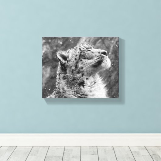 Friedlich Snow Leopard Leinwanddruck (Insitu (Holzboden))