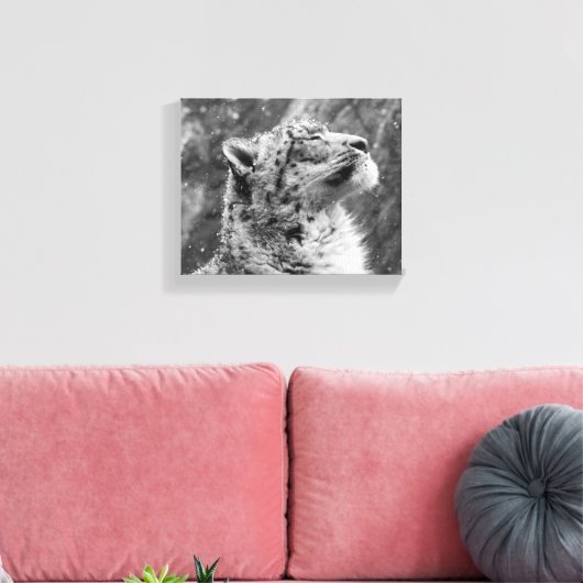 Friedlich Snow Leopard Leinwanddruck (Insitu (Wohnzimmer))