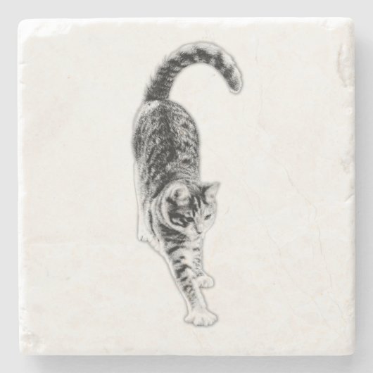 Friedlich Stretch Cat Untersetzer Set (Vorderseite)