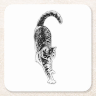 Friedlich Stretch Cat Untersetzer Set