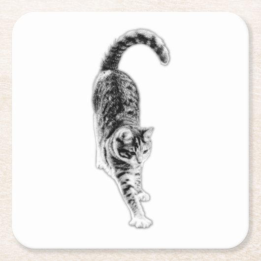 Friedlich Stretch Cat Untersetzer Set (Vorderseite)