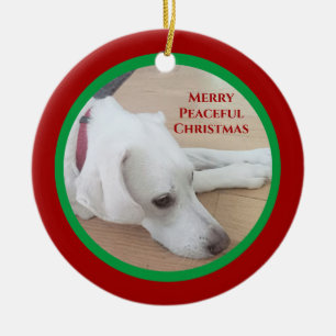 Friedlich White Dog Red Collar Weihnachten Keramik Ornament
