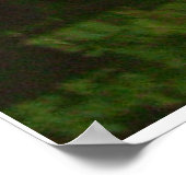 Friedliche Baumszene am Flussufer Poster (Ecke)