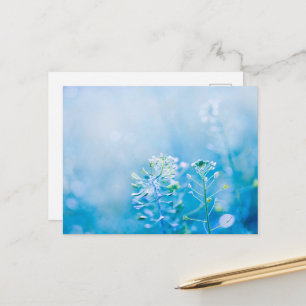 Friedliche Blaue Wildblumen-Natur-Postkarte Postkarte